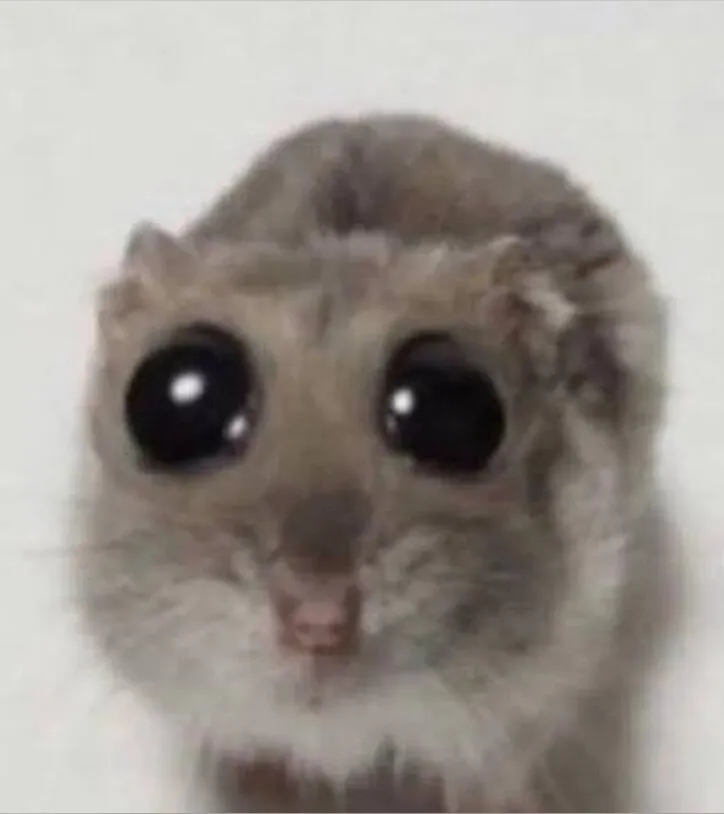 BDGOTHBFF OnlyFans header