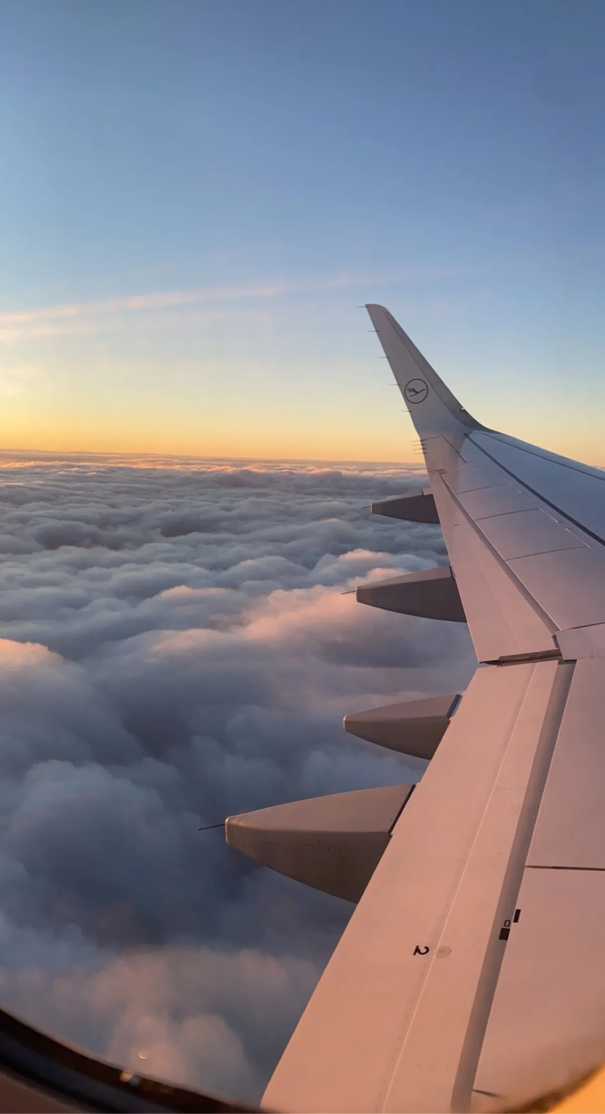 brandon OnlyFans header