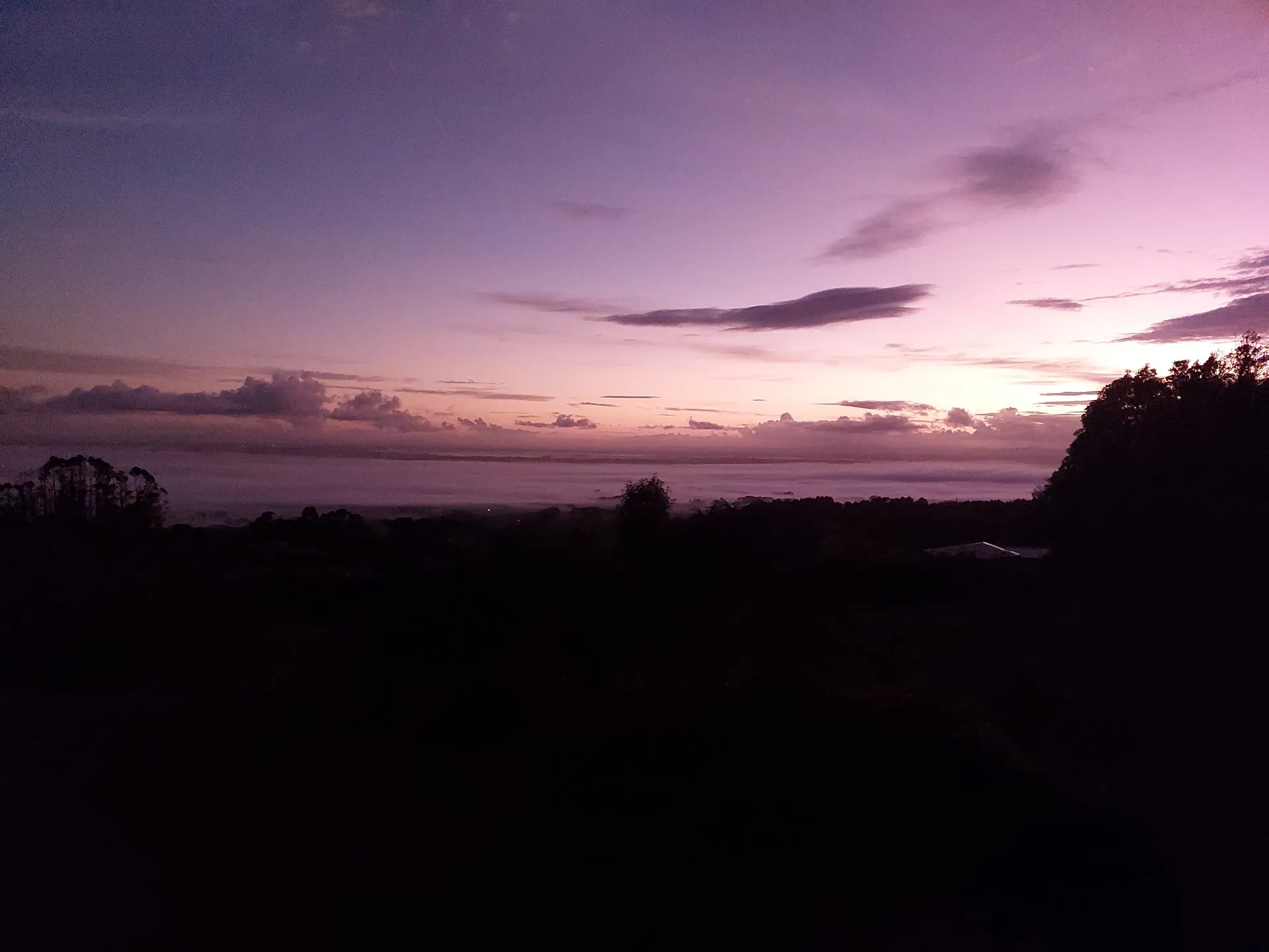 Cassie 🌹🌹🌹 OnlyFans header