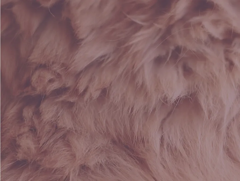 Bea222 OnlyFans header