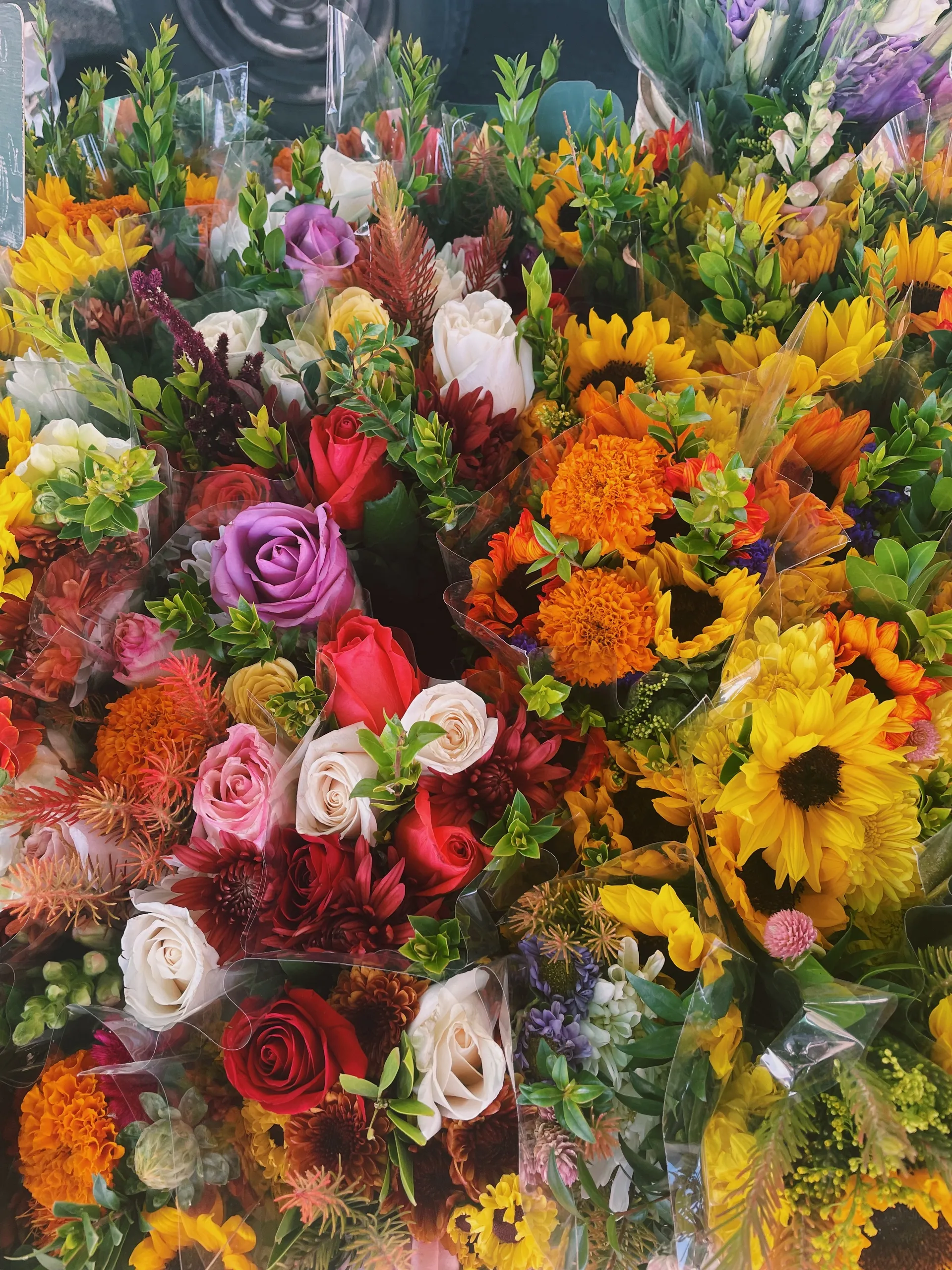 Bea🦋 OnlyFans header