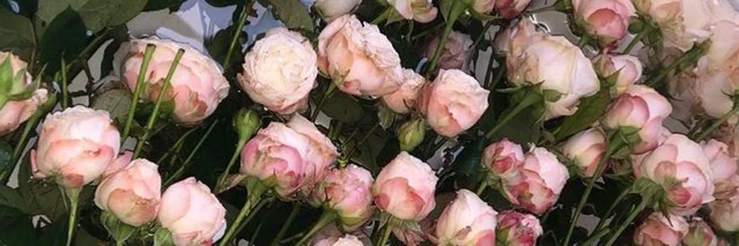 00001t00 OnlyFans header