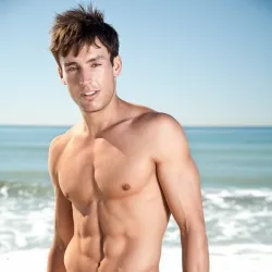 THE BEACH BOYS PROJECT