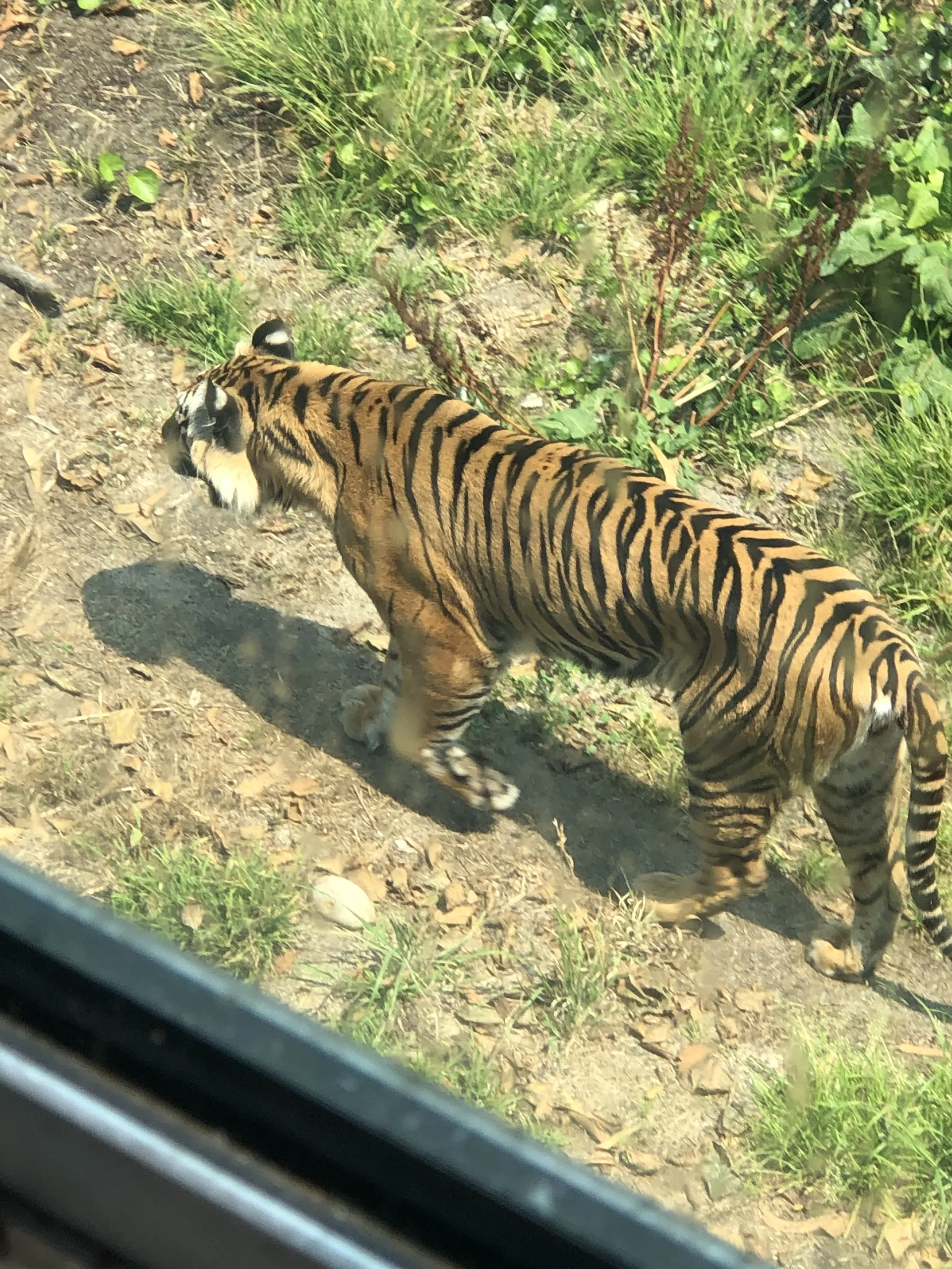 James OnlyFans header