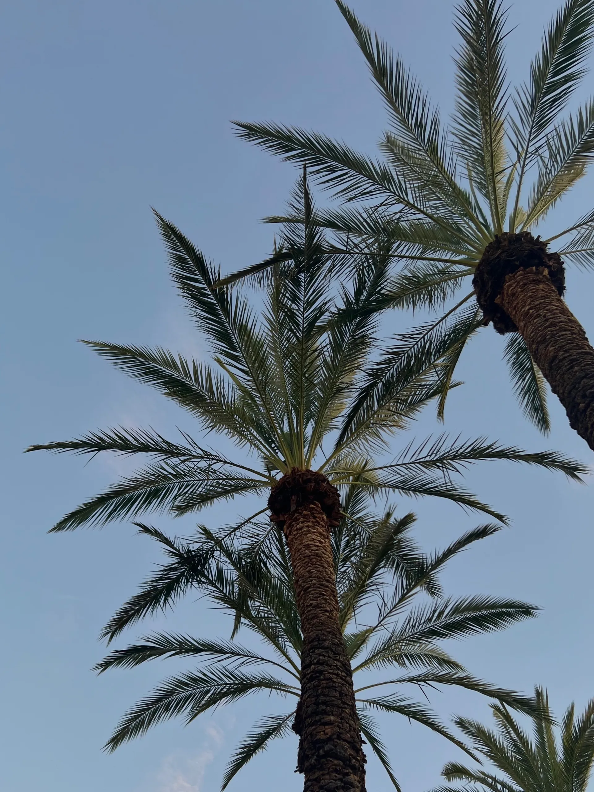 KryssiK OnlyFans header