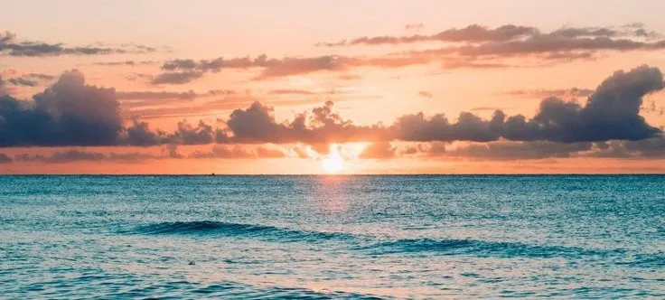 Beachfiend OnlyFans header