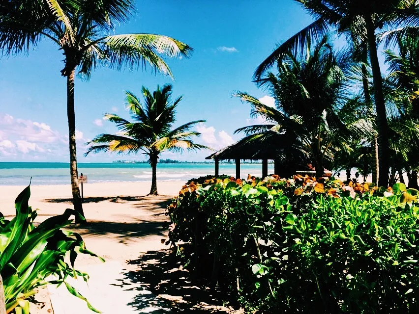 Alex OnlyFans header