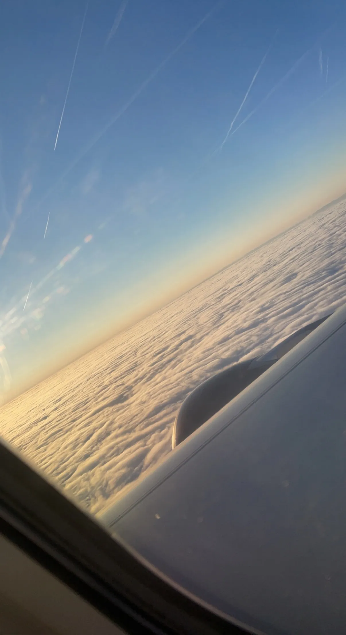 Bea Gray OnlyFans header