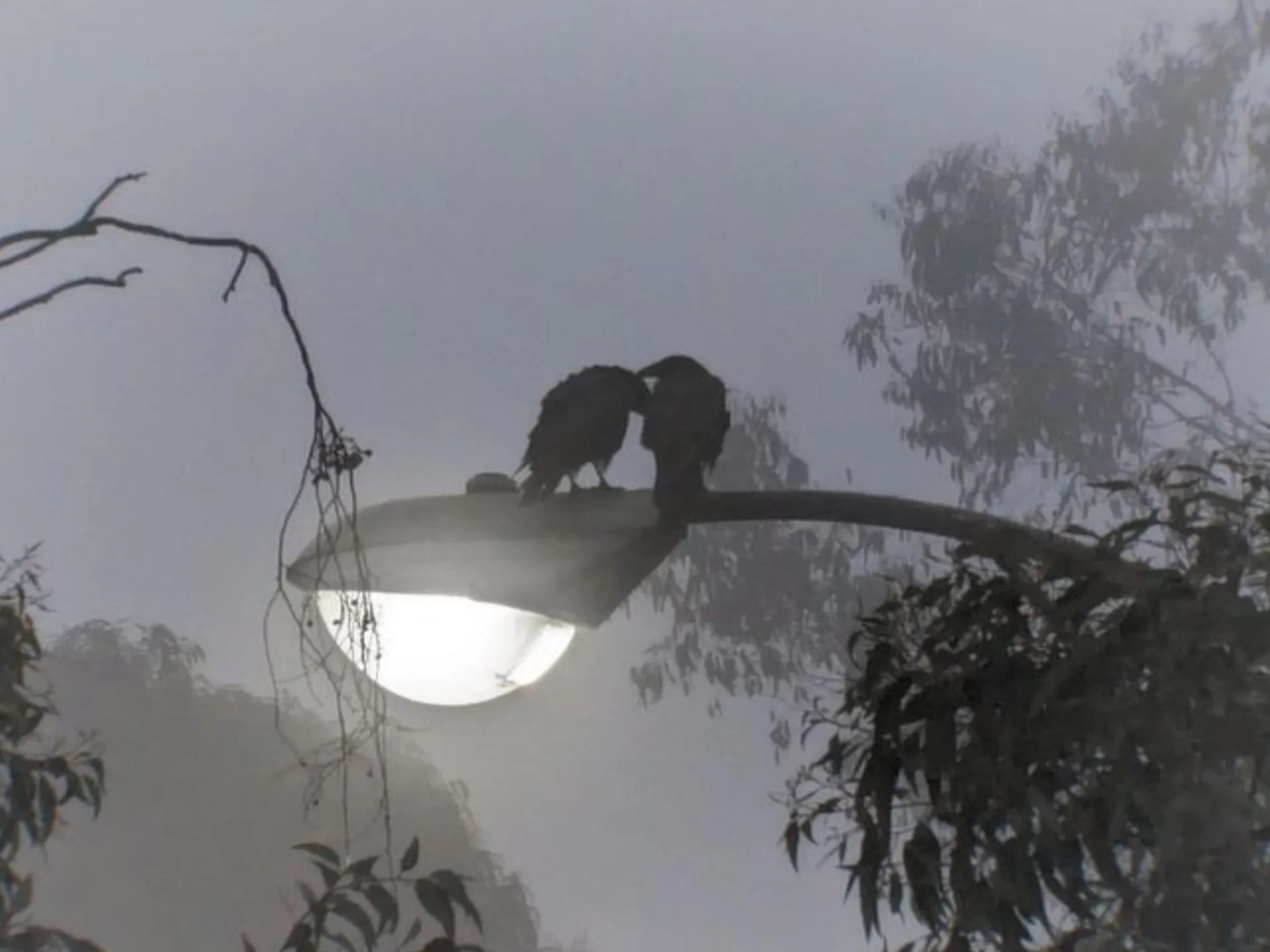 Taylorrr 🦇 OnlyFans header