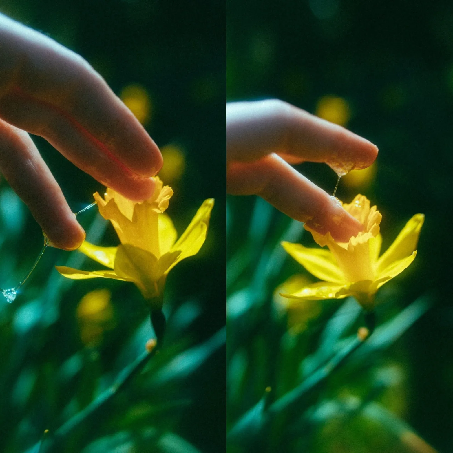 Molly OnlyFans header