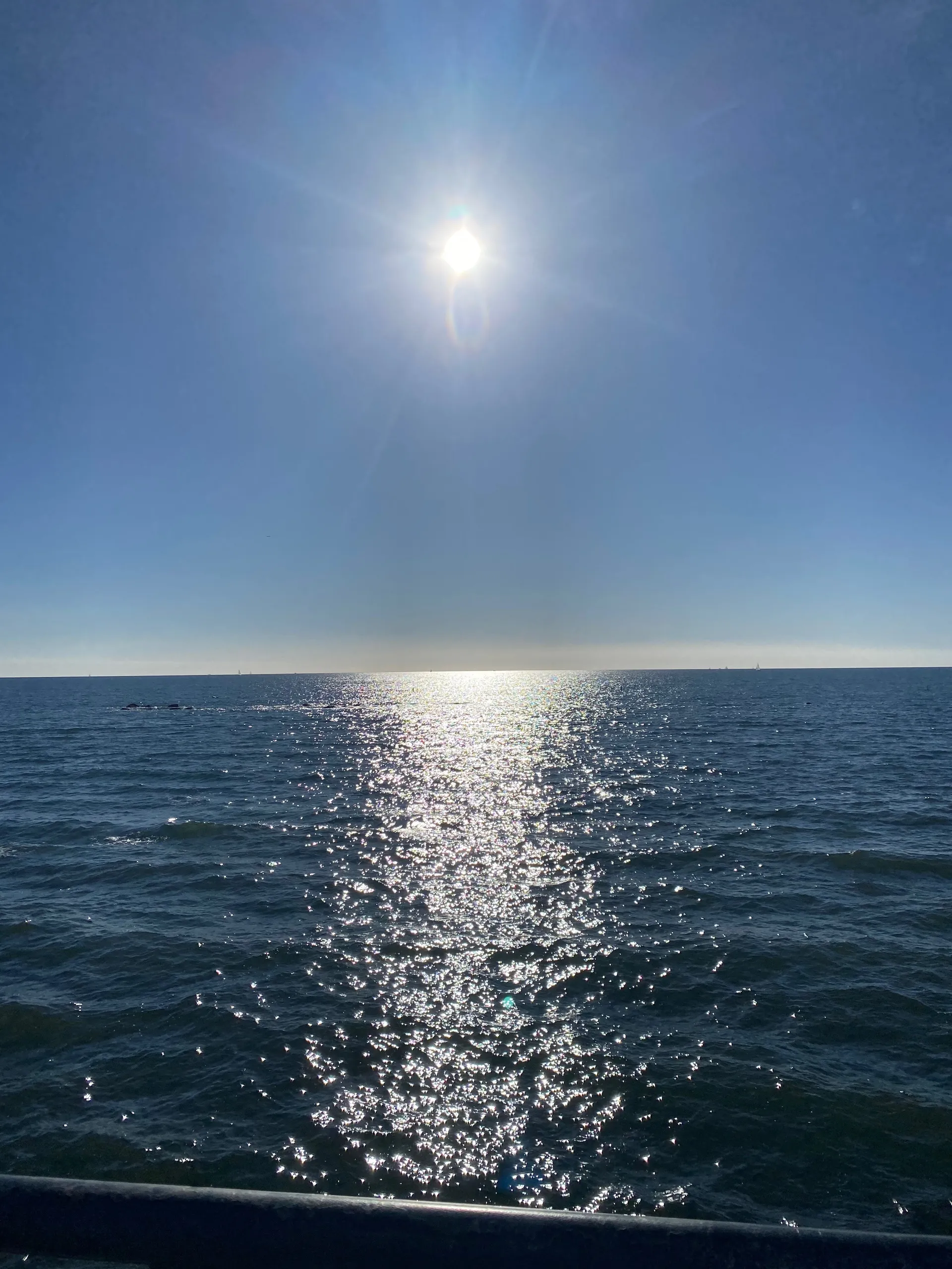 beansandrice333 OnlyFans header