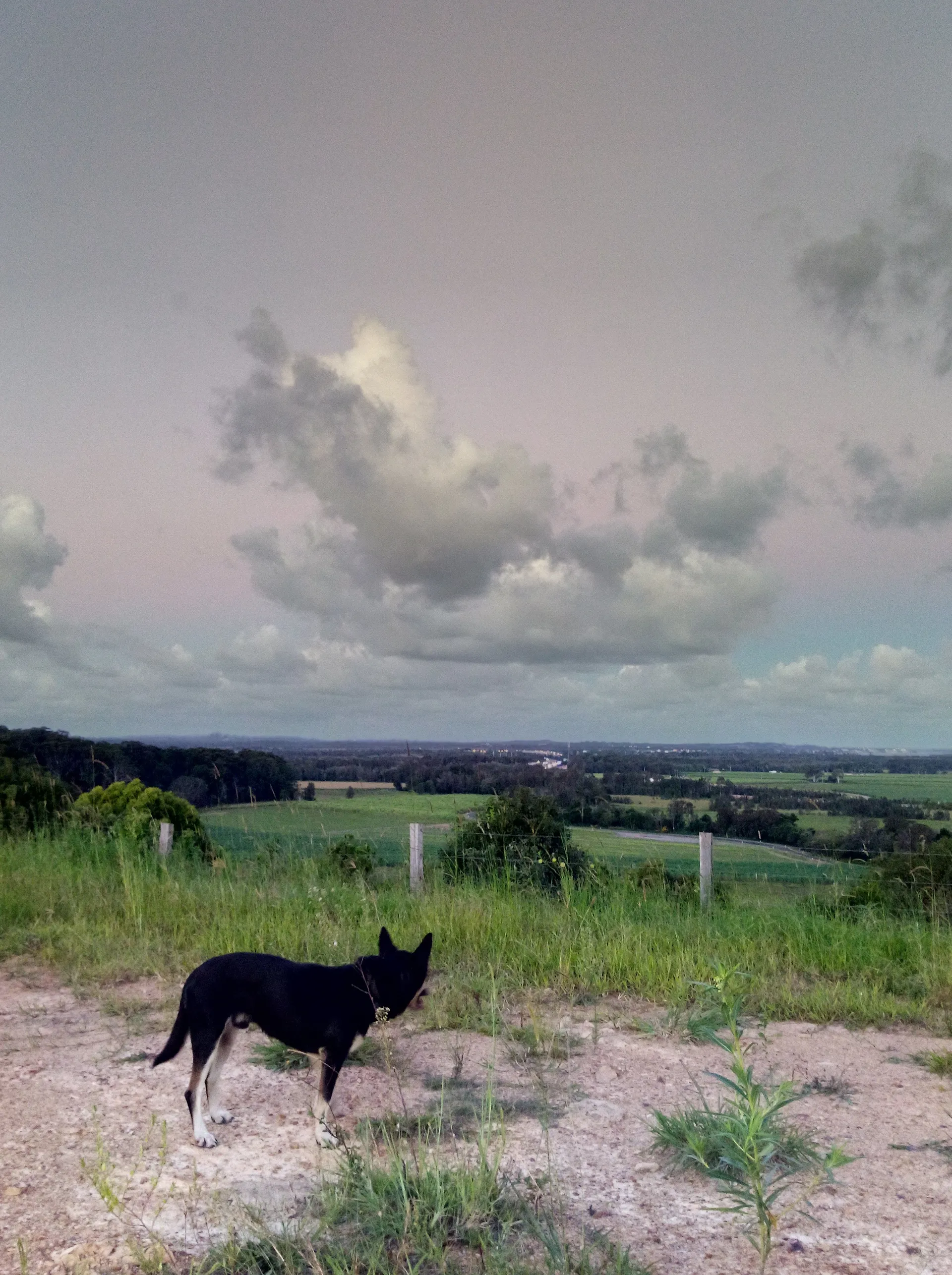 j riley OnlyFans header