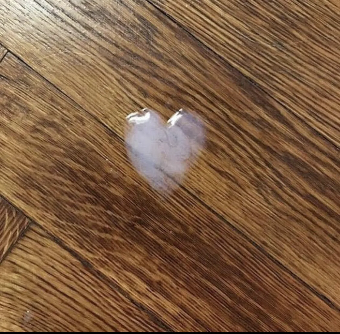 Bad-Bear-Cub-Club OnlyFans header