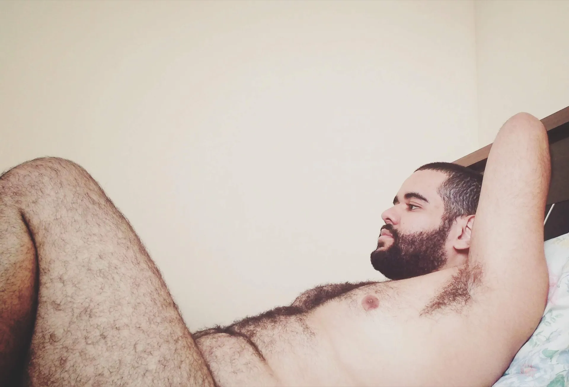 Bear bi BH OnlyFans header