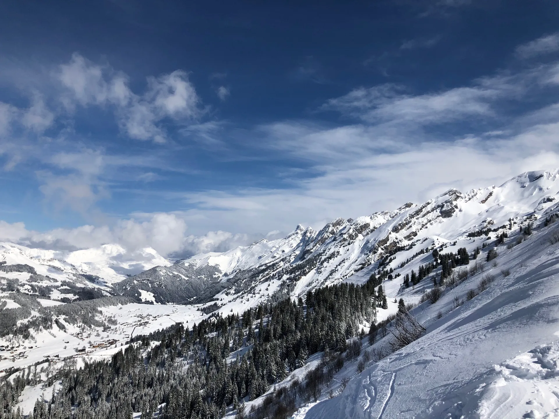 Bearcub_88 OnlyFans header