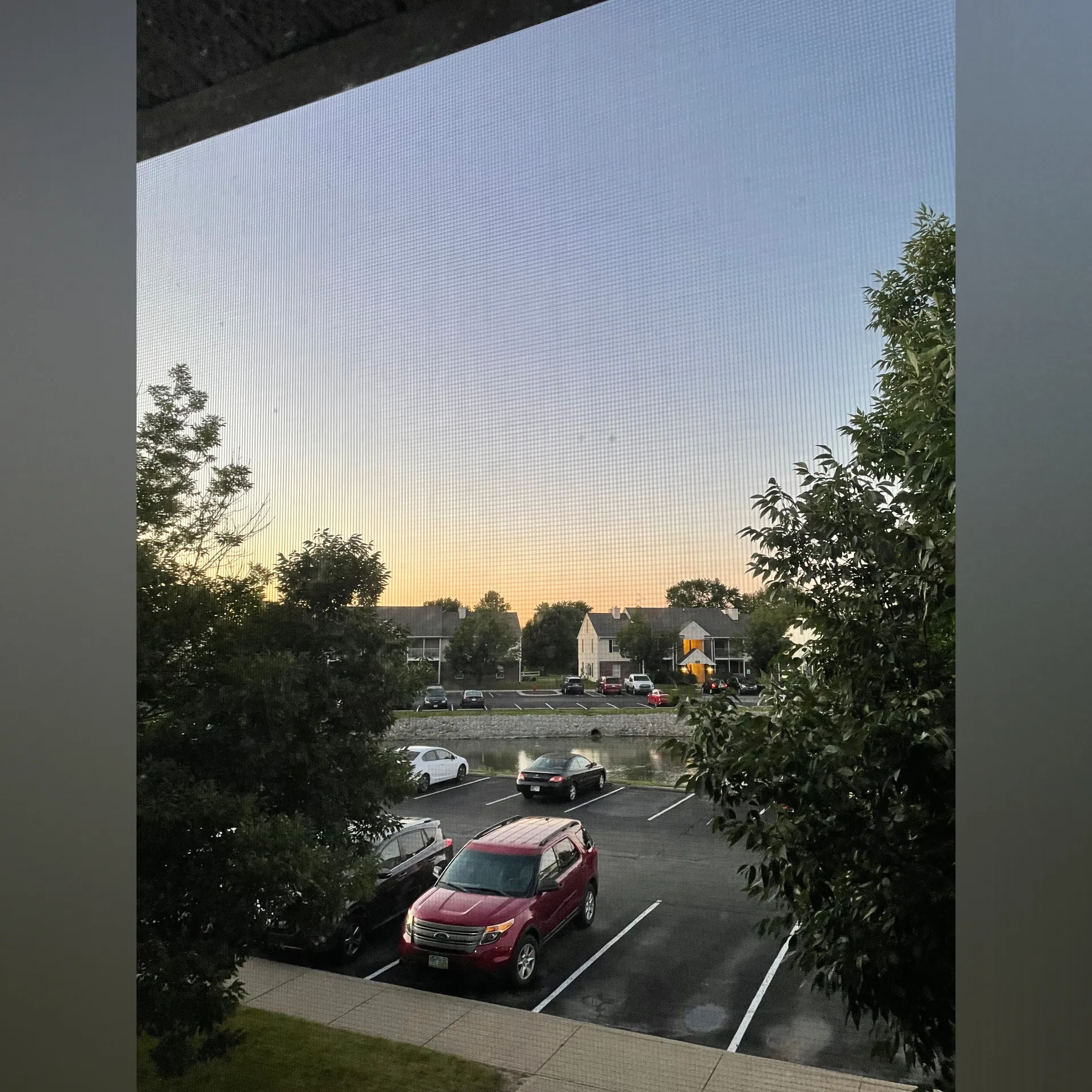 Bear OnlyFans header