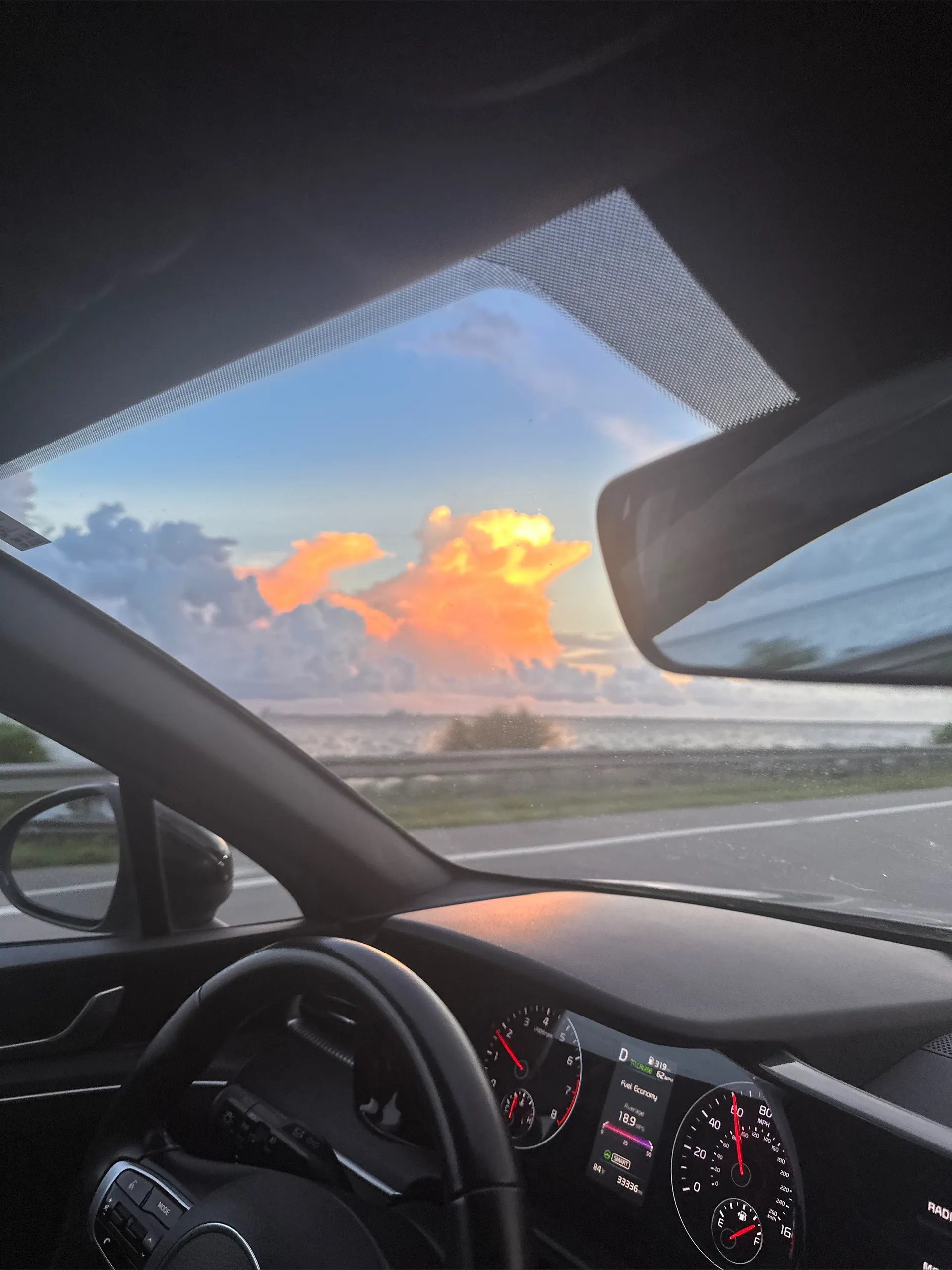 bear🌸 OnlyFans header