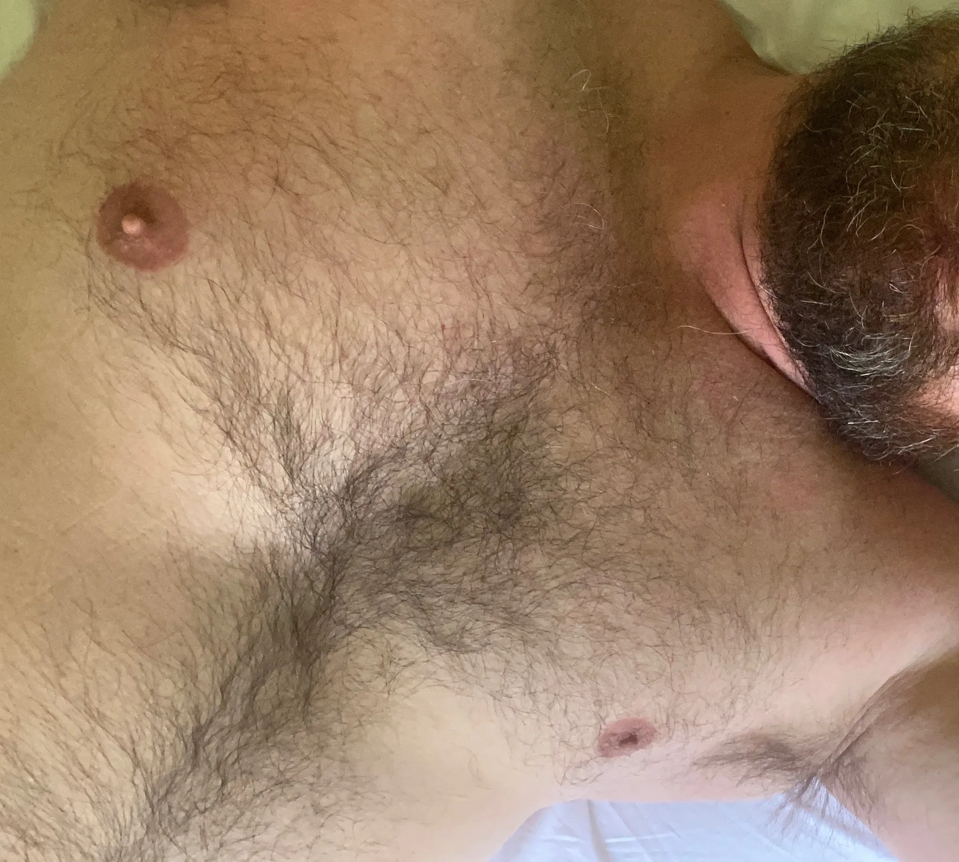 Bearzinho OnlyFans header