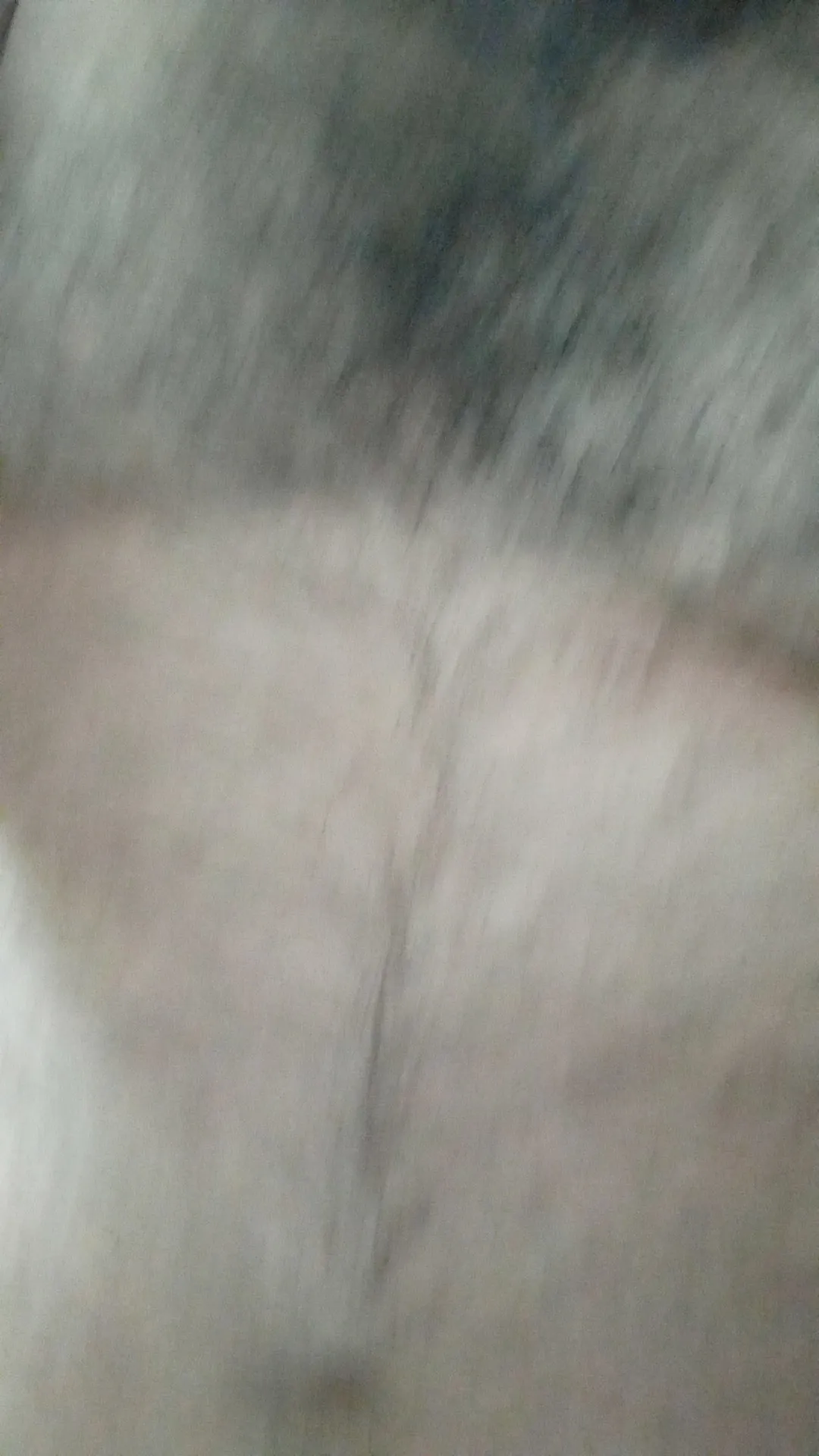 Oso Argento OnlyFans header