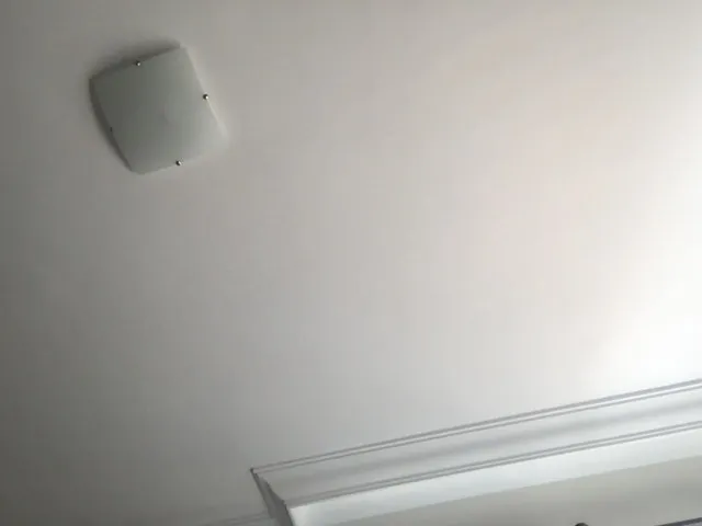 BearBang OnlyFans header