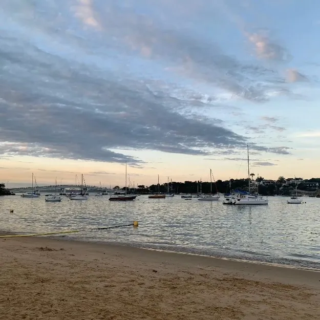 Brazilian Hot Bear OnlyFans header