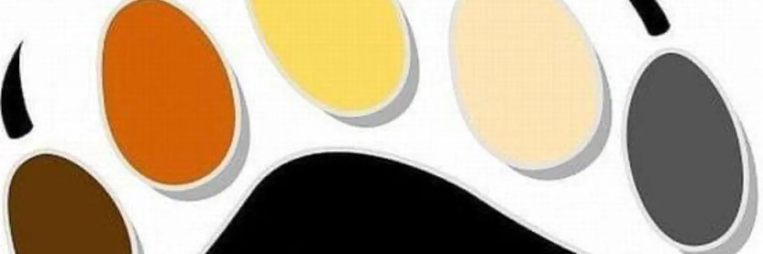 Bear cub OnlyFans header