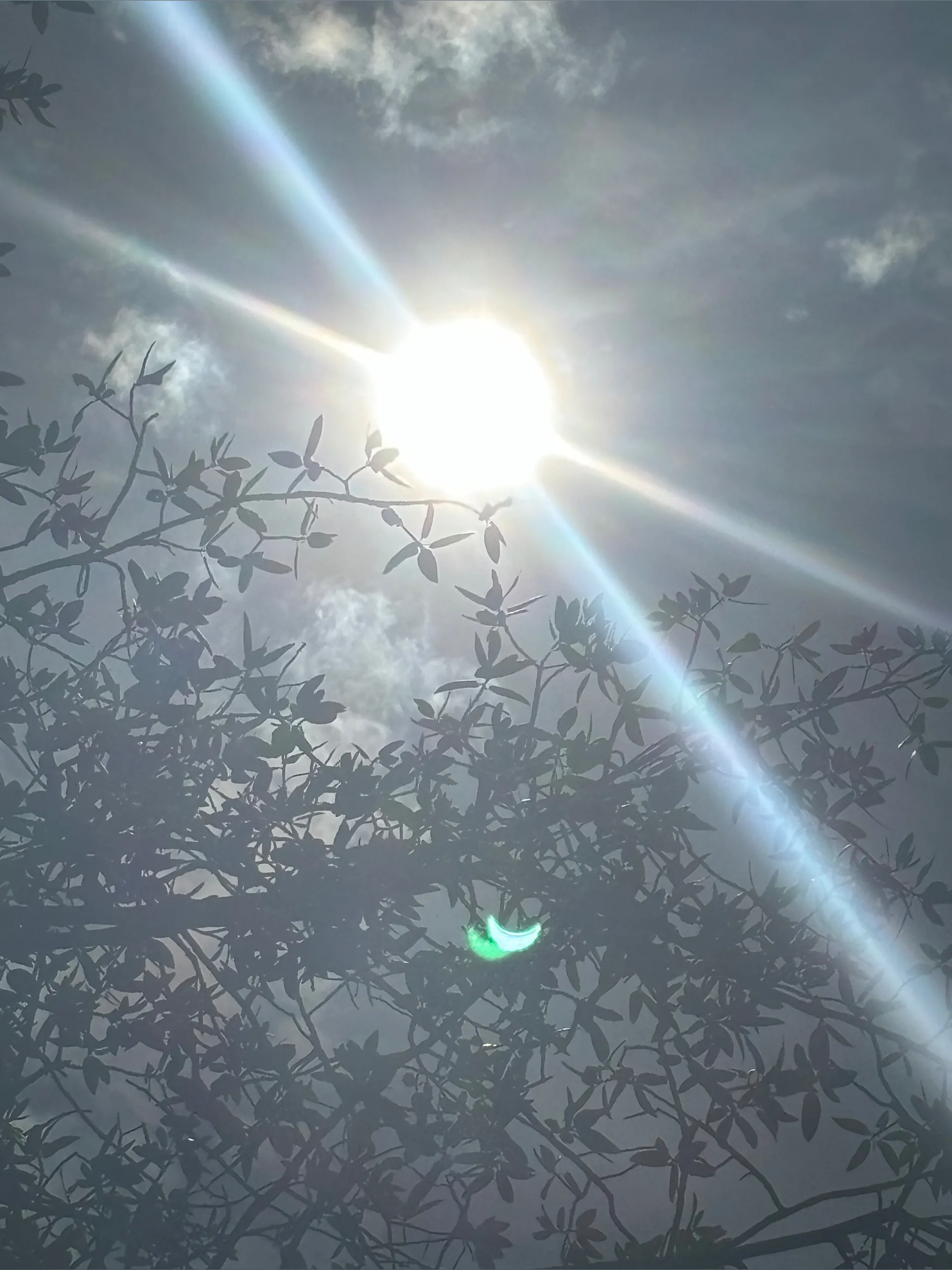 BeardDrip OnlyFans header