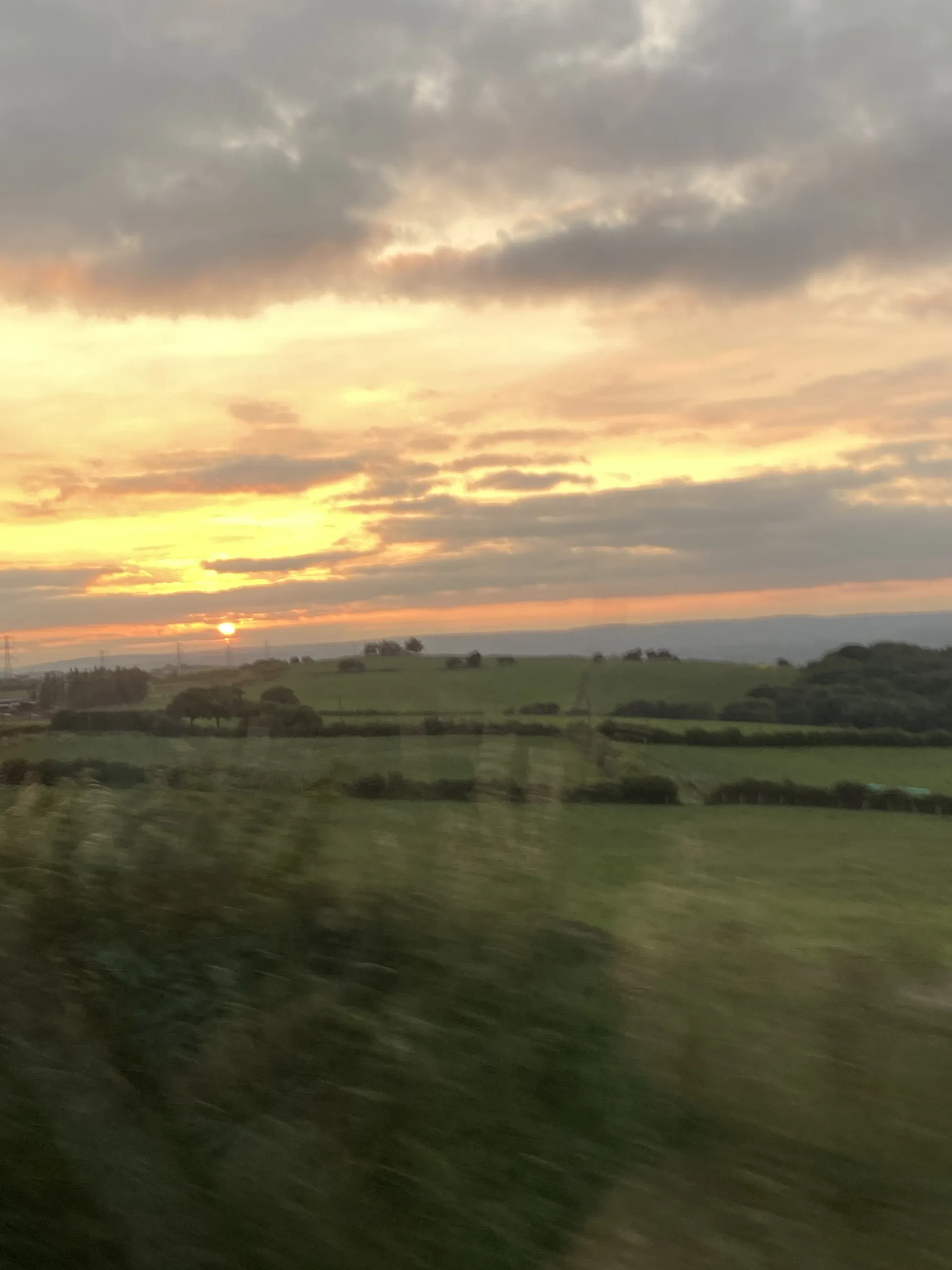 DaddyBear OnlyFans header