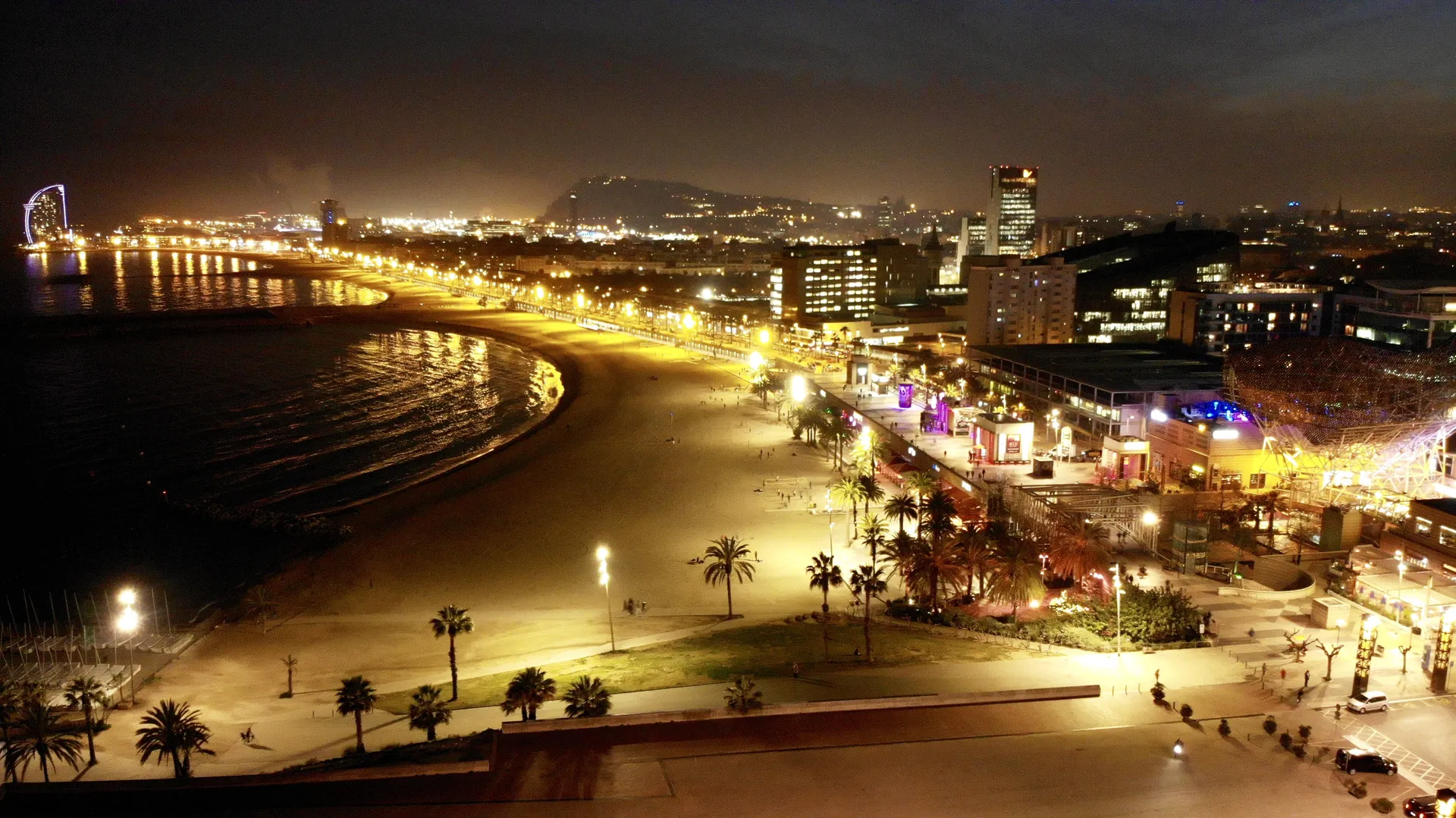 BEARded OnlyFans header