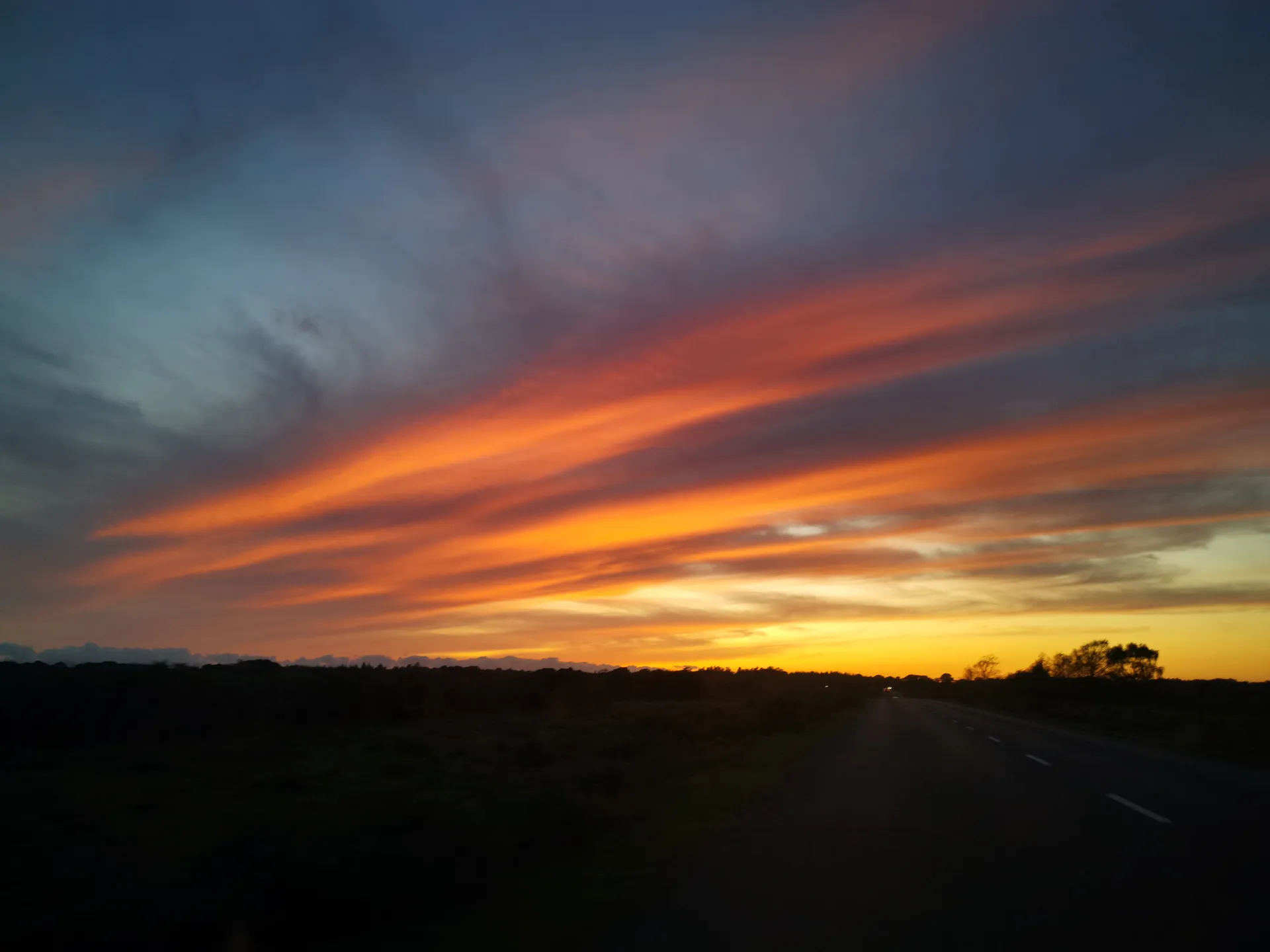 Bearded_Lust OnlyFans header