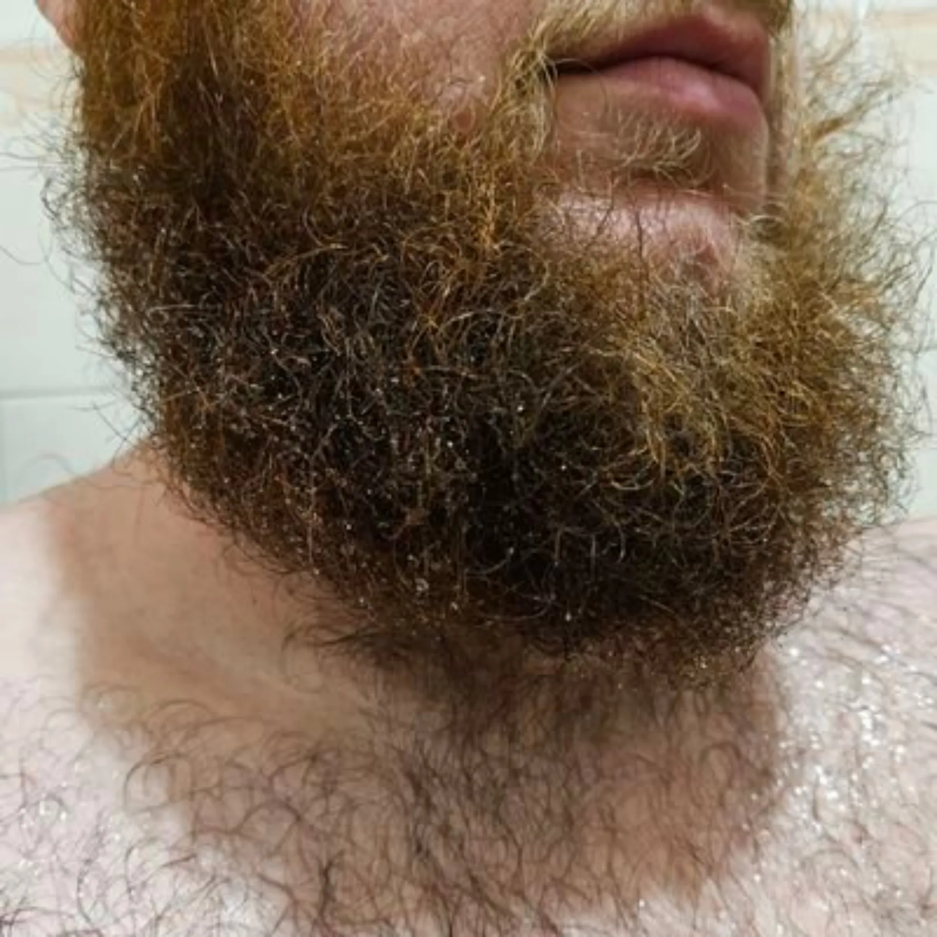 BeardedAussie66