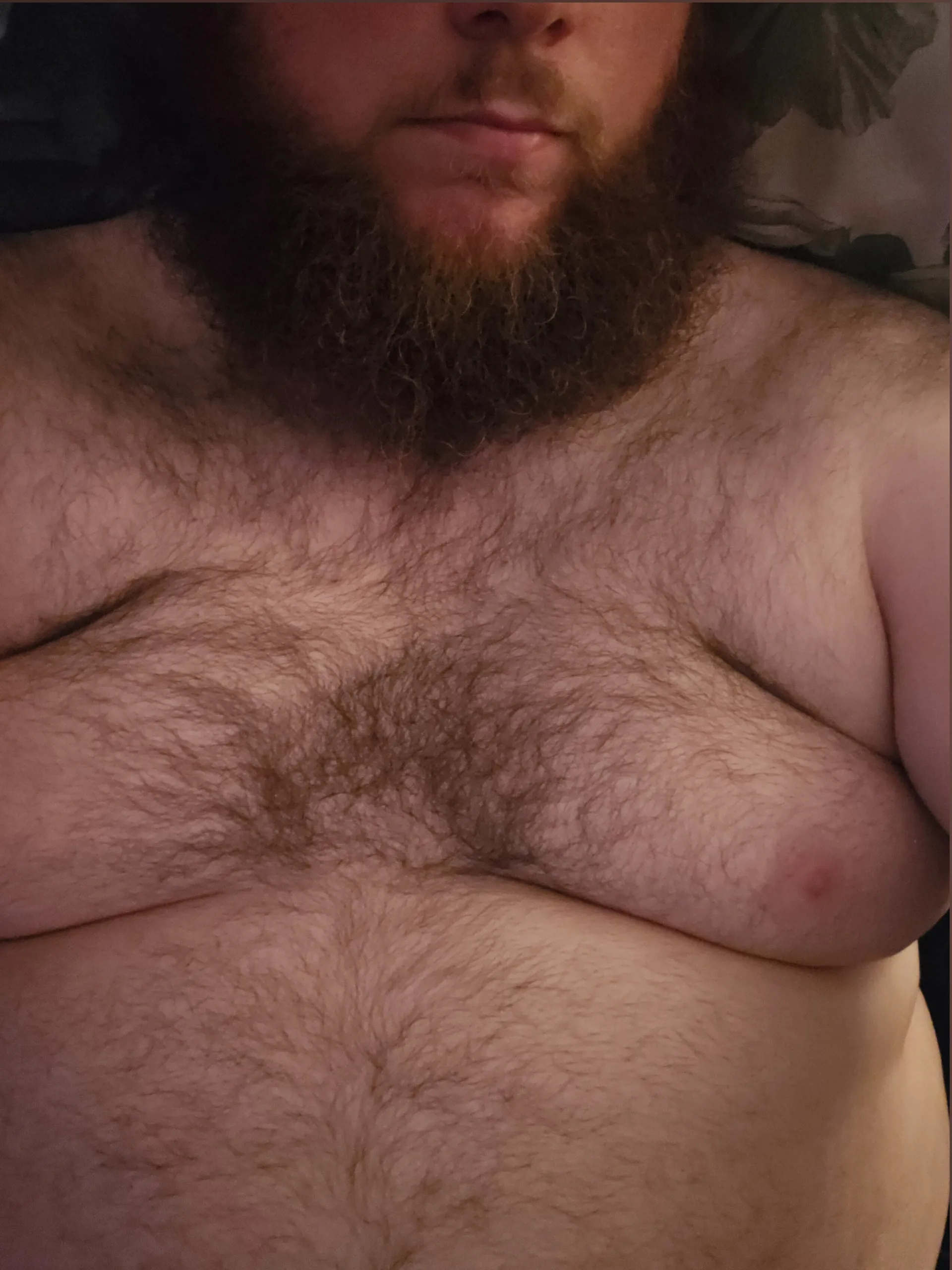 BeardedAussie66 OnlyFans header