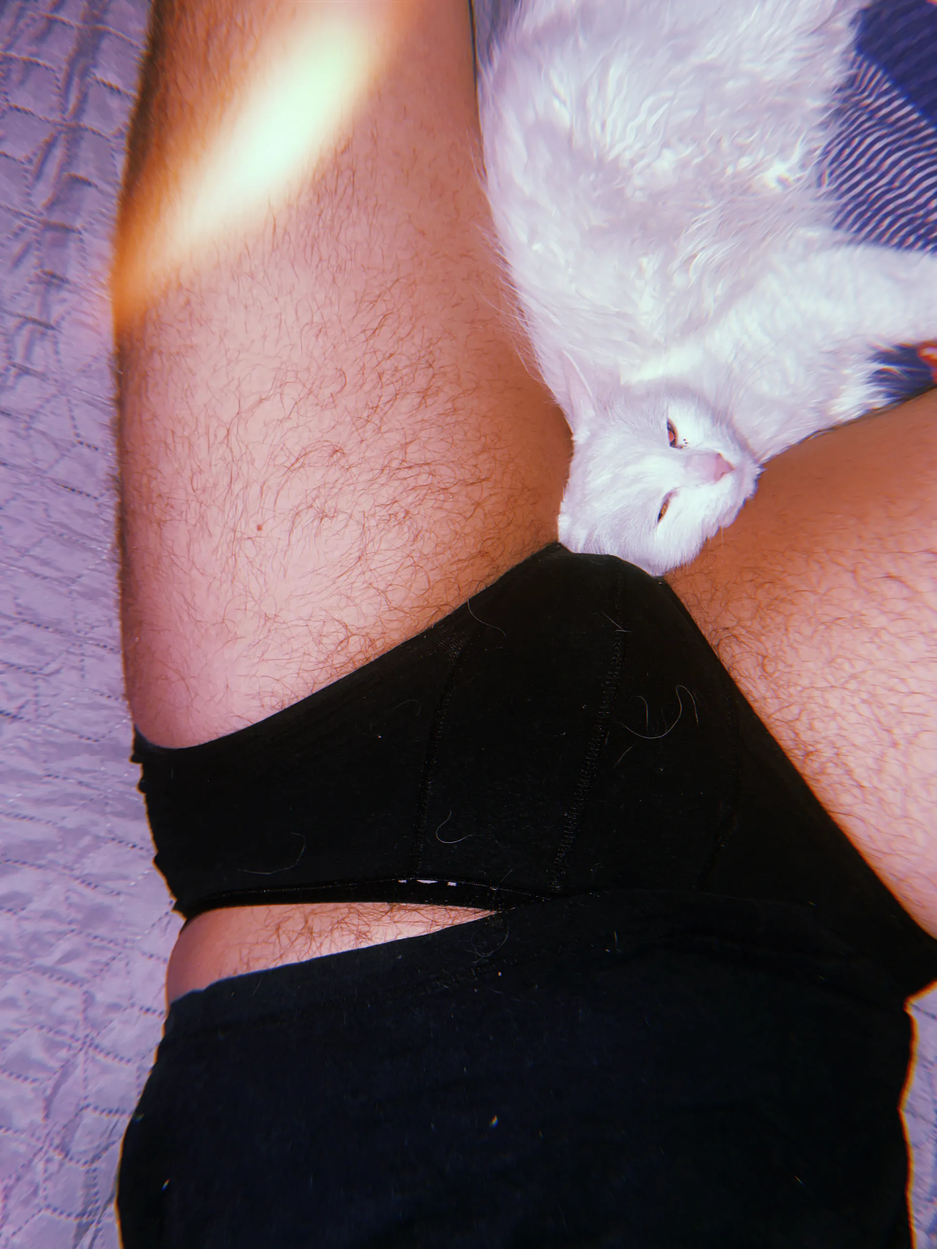 beardedbearbttm OnlyFans header