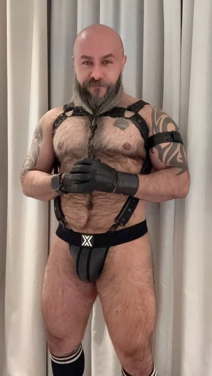 The Bearded Bear Man