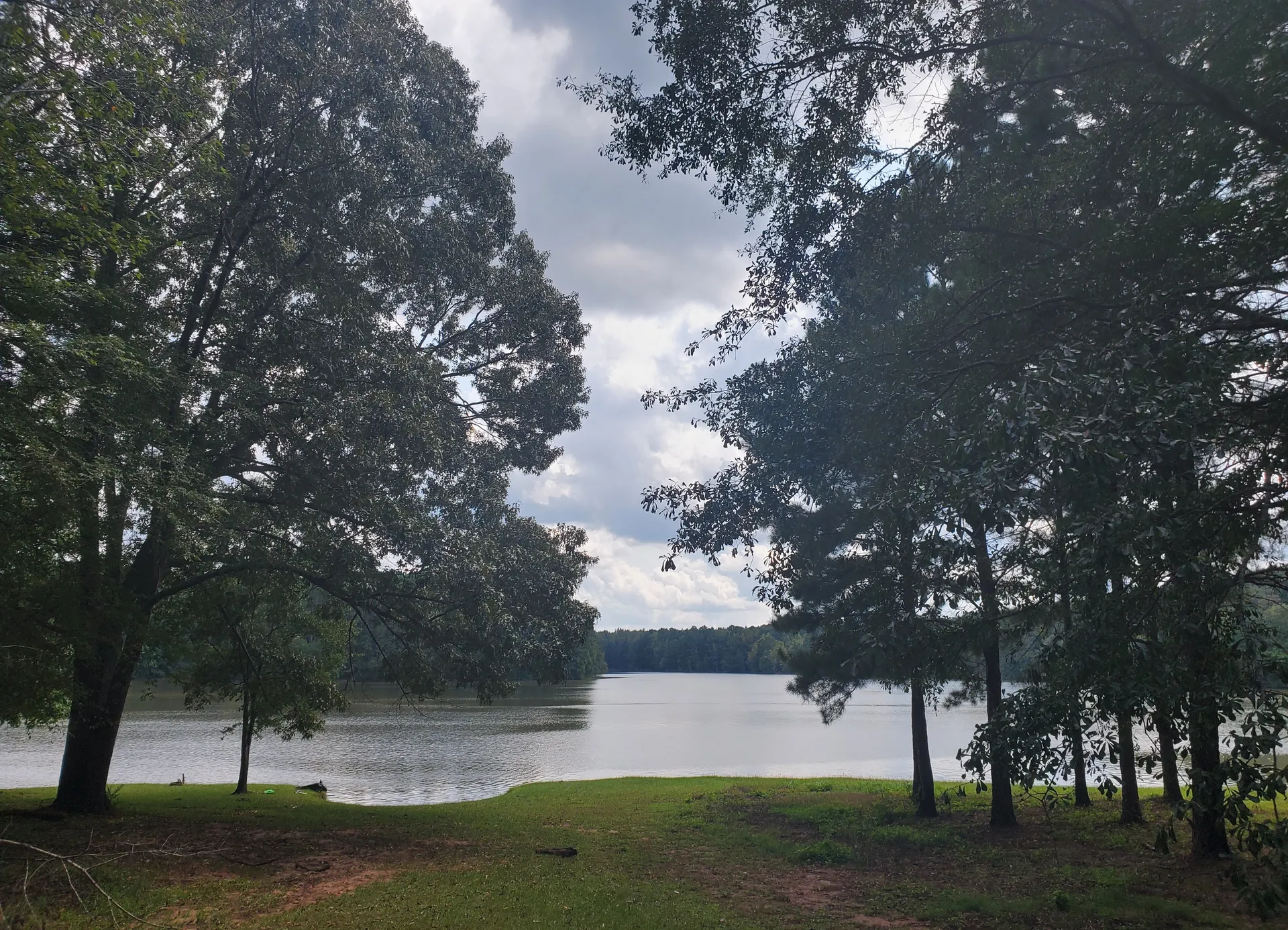 Bearded Decepticon OnlyFans header