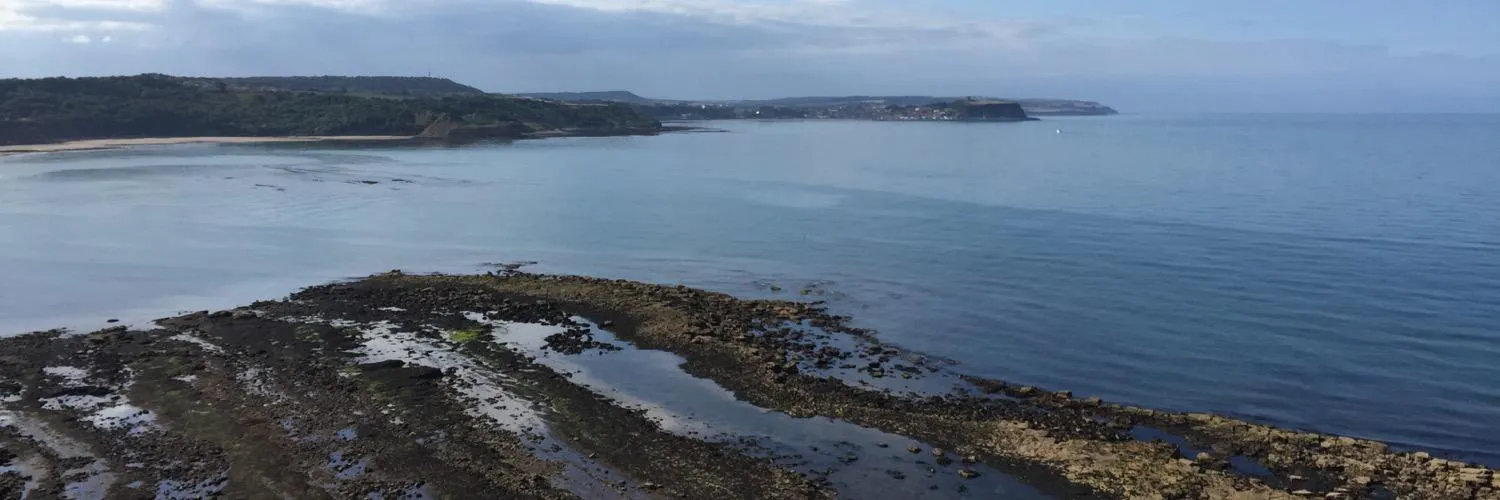 Bearded Gent OnlyFans header