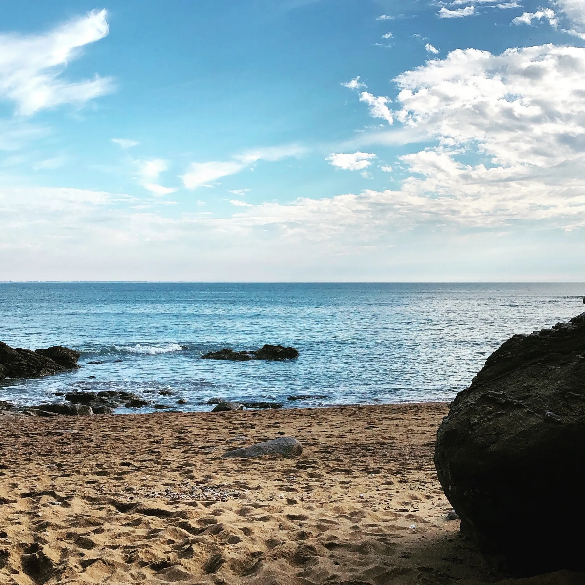 Beardedotterx OnlyFans header