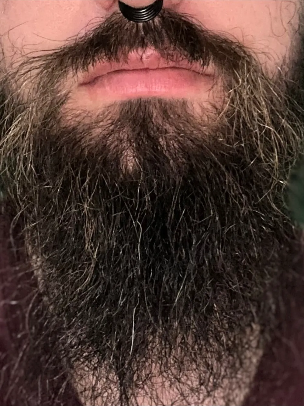 Beardedguy