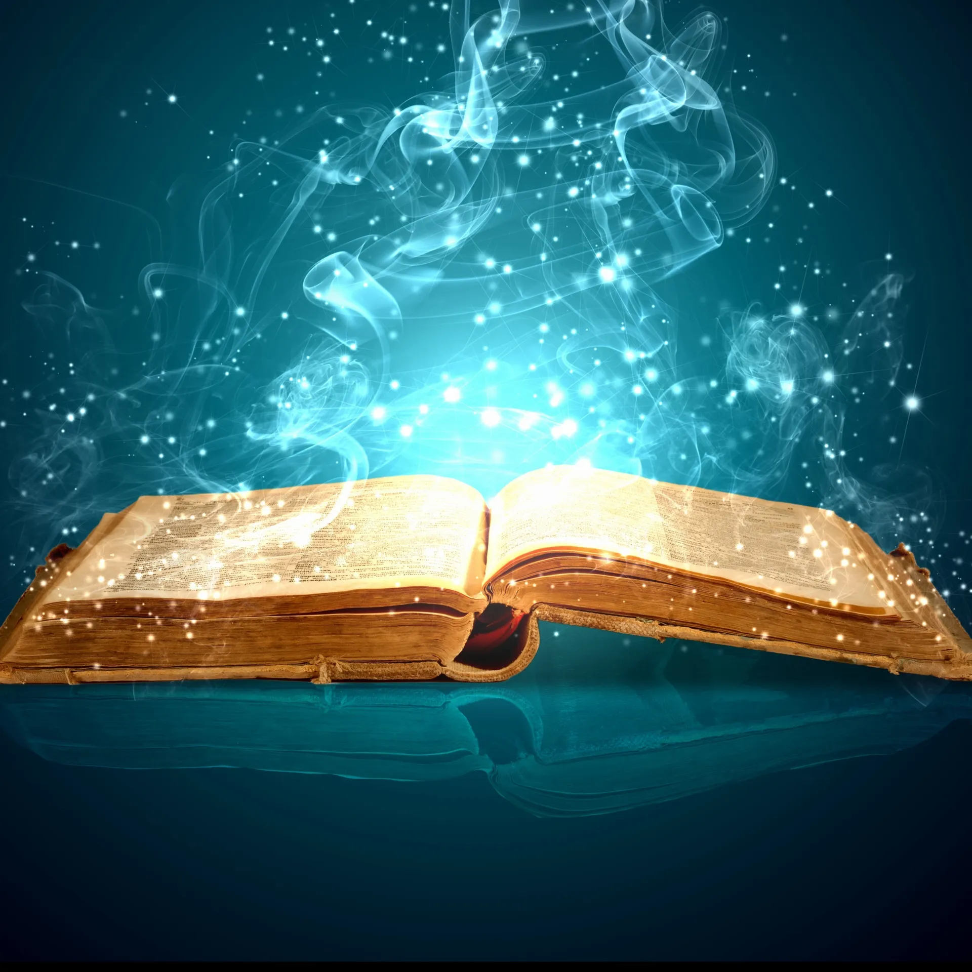 Mr.Forest OnlyFans header