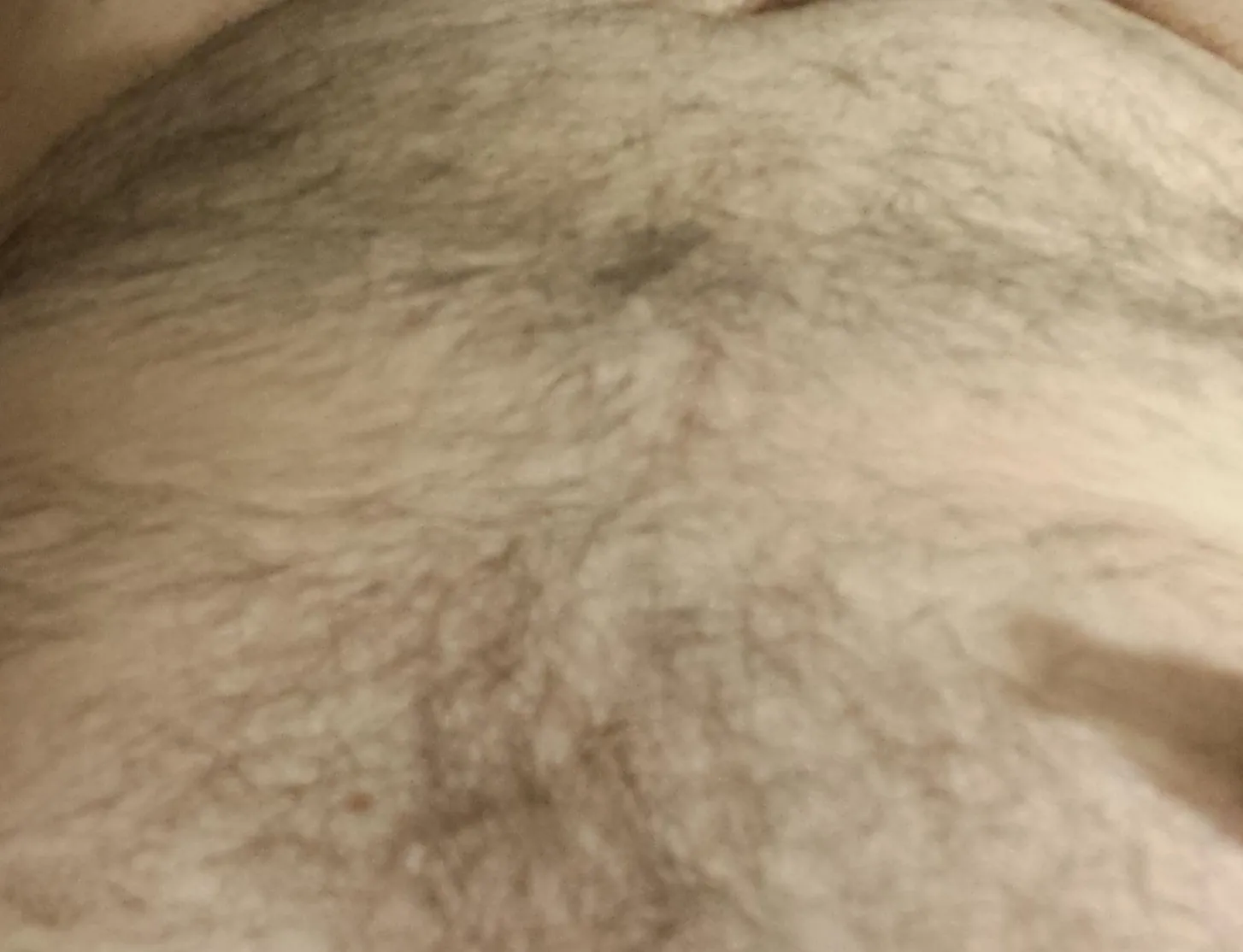 Bearelicious OnlyFans header
