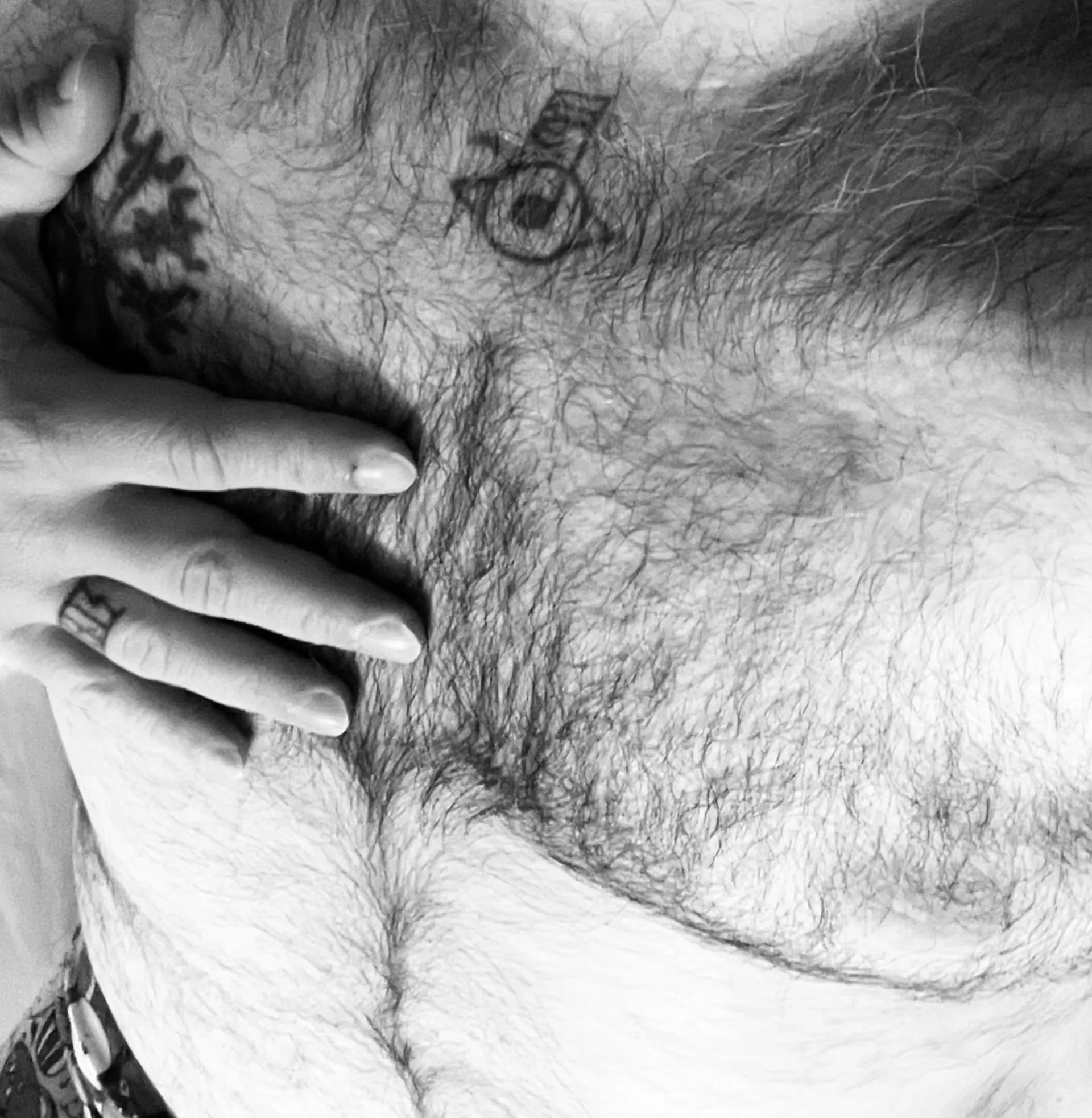 Bear from the North OnlyFans header