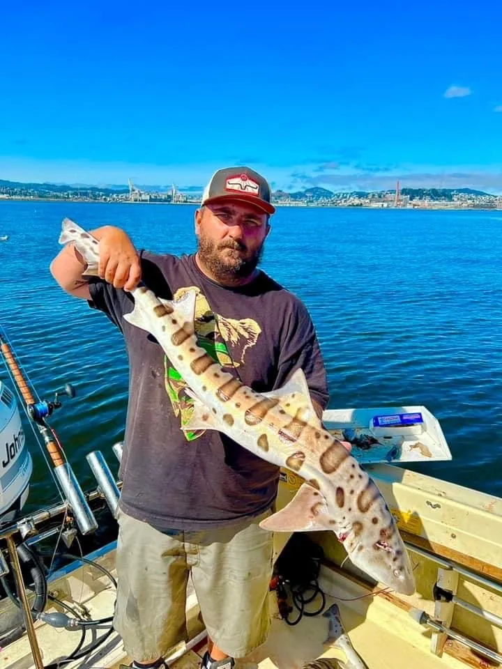 Brad OnlyFans header