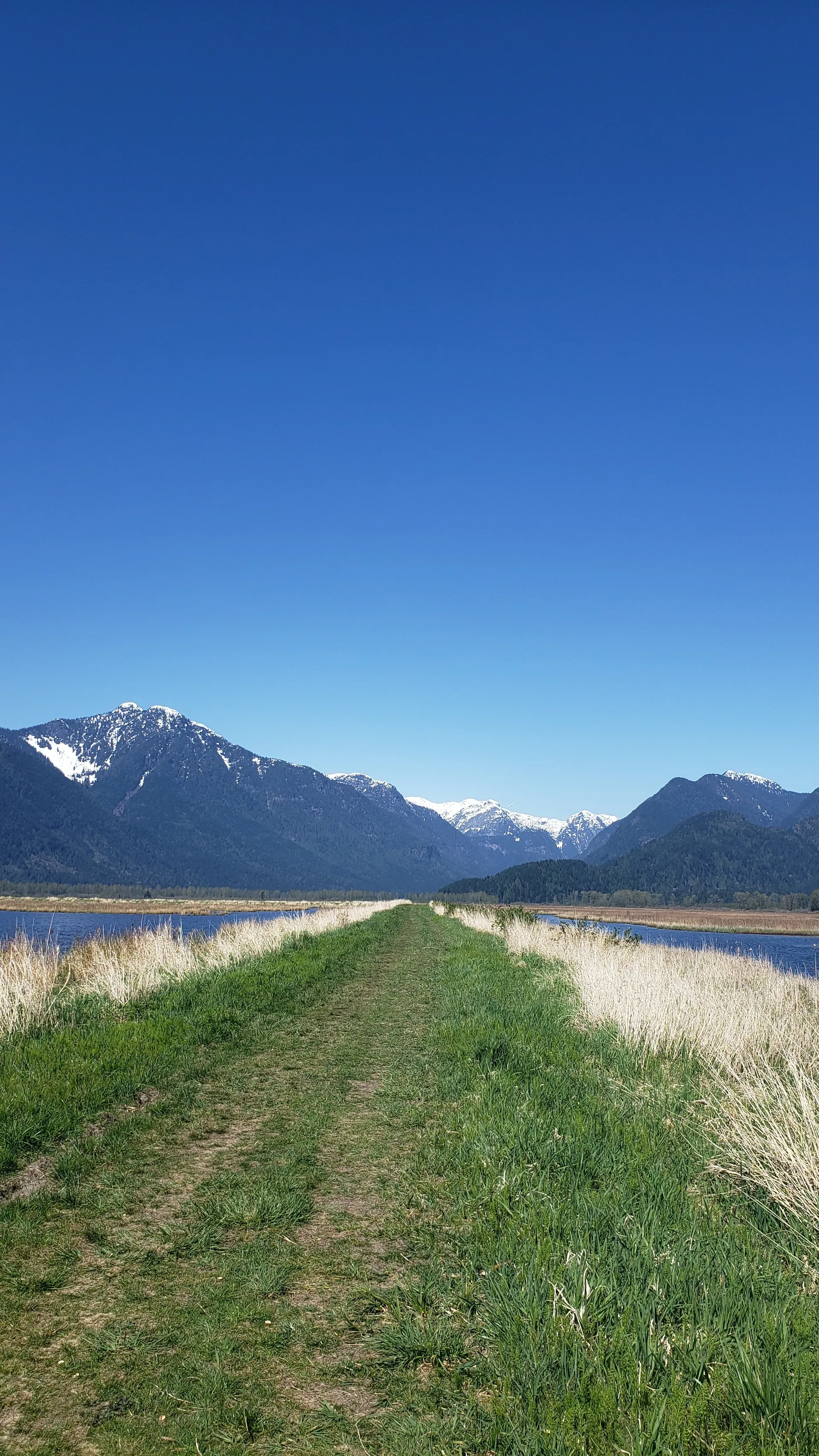 Bearish69 OnlyFans header