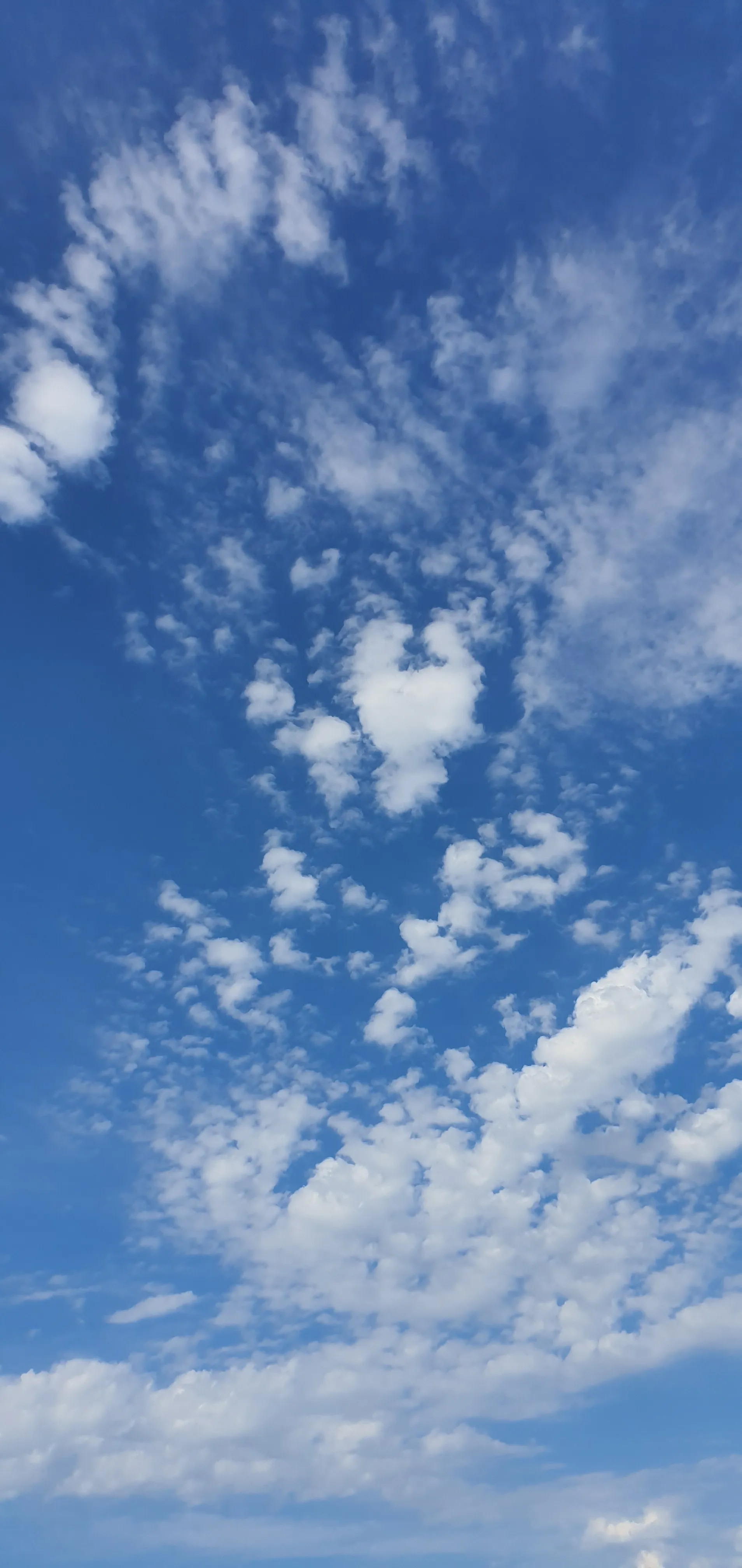 Joshua Bear OnlyFans header