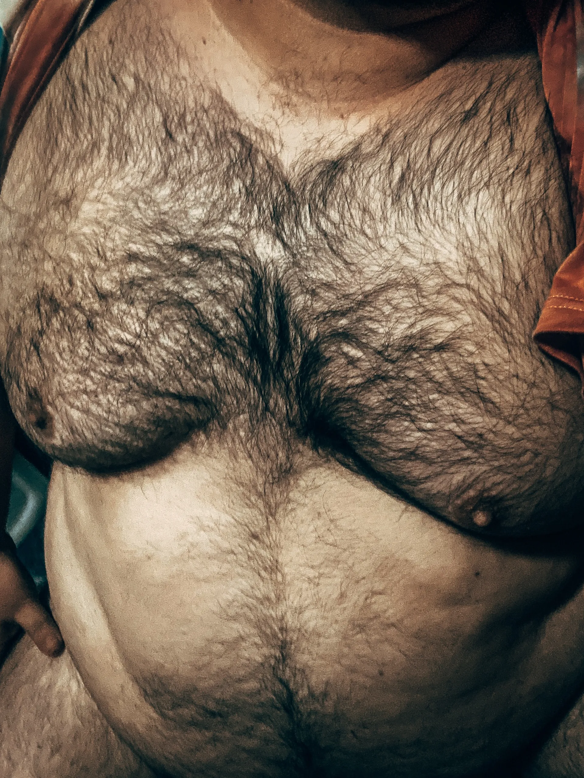 Osito tierno OnlyFans header