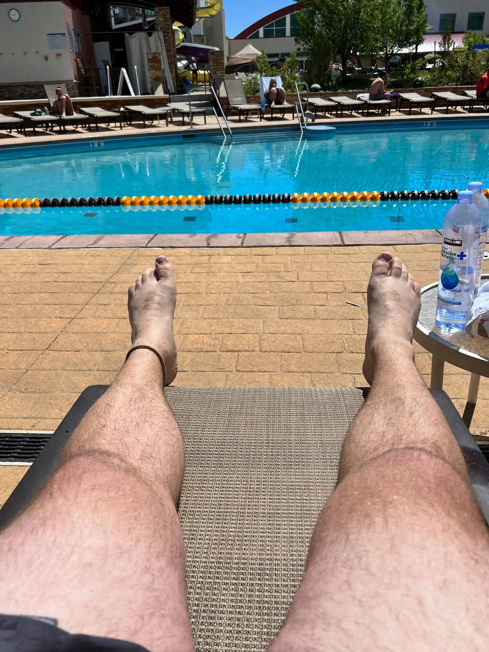 Bear Paws OnlyFans header