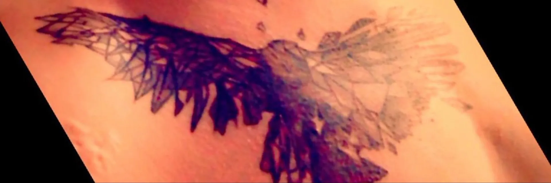 Bearpup-Baloo OnlyFans header