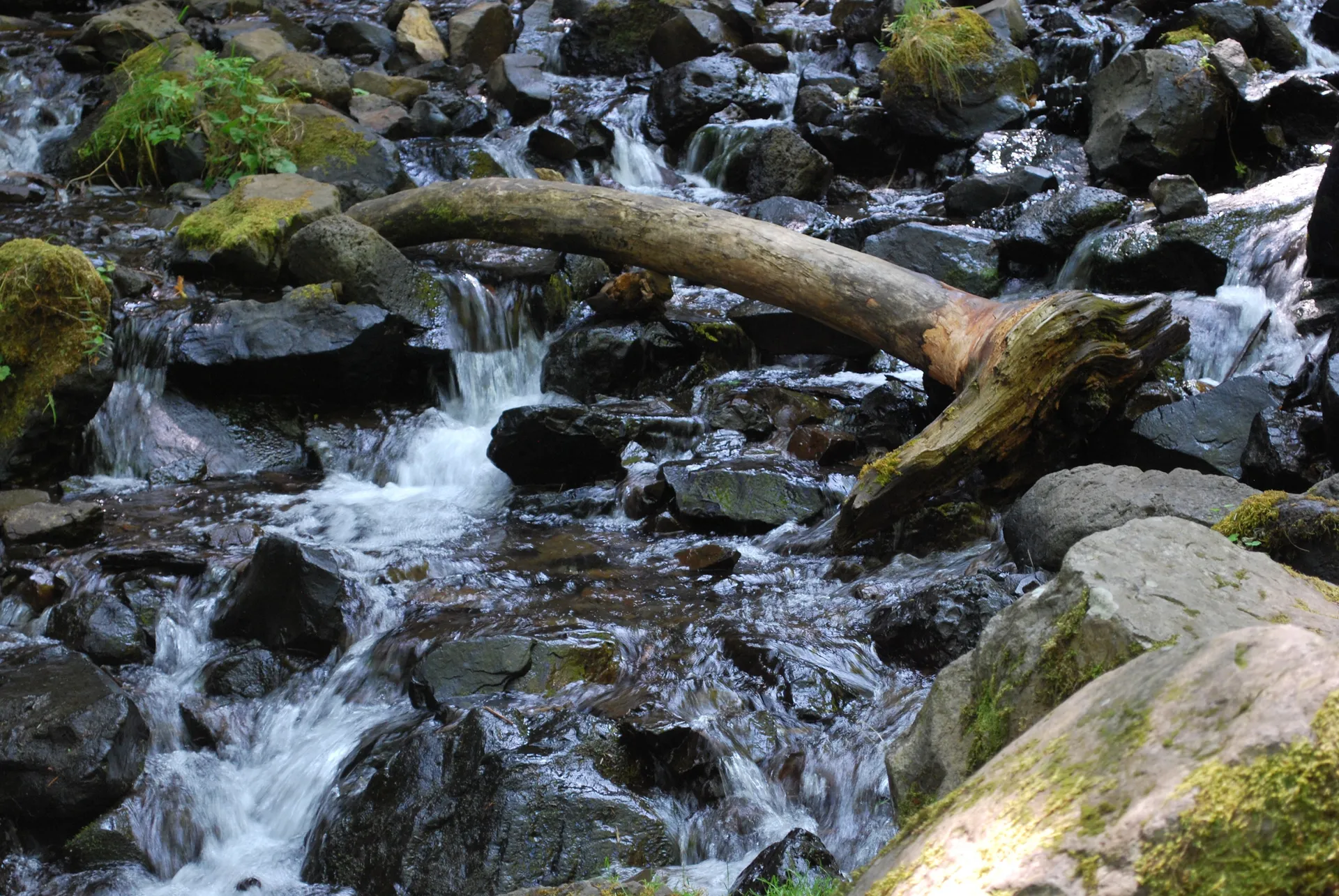 Bearry Sexy OnlyFans header