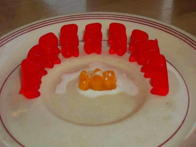 Bear Townsend OnlyFans header