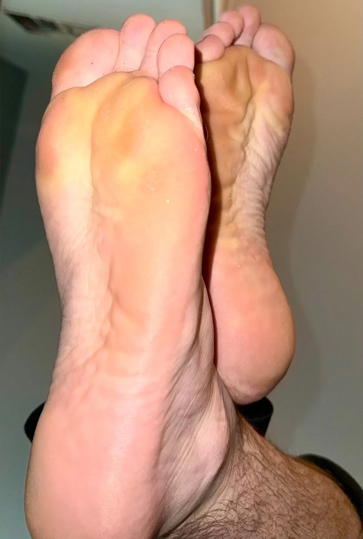 Beary Handsome OnlyFans profile picture